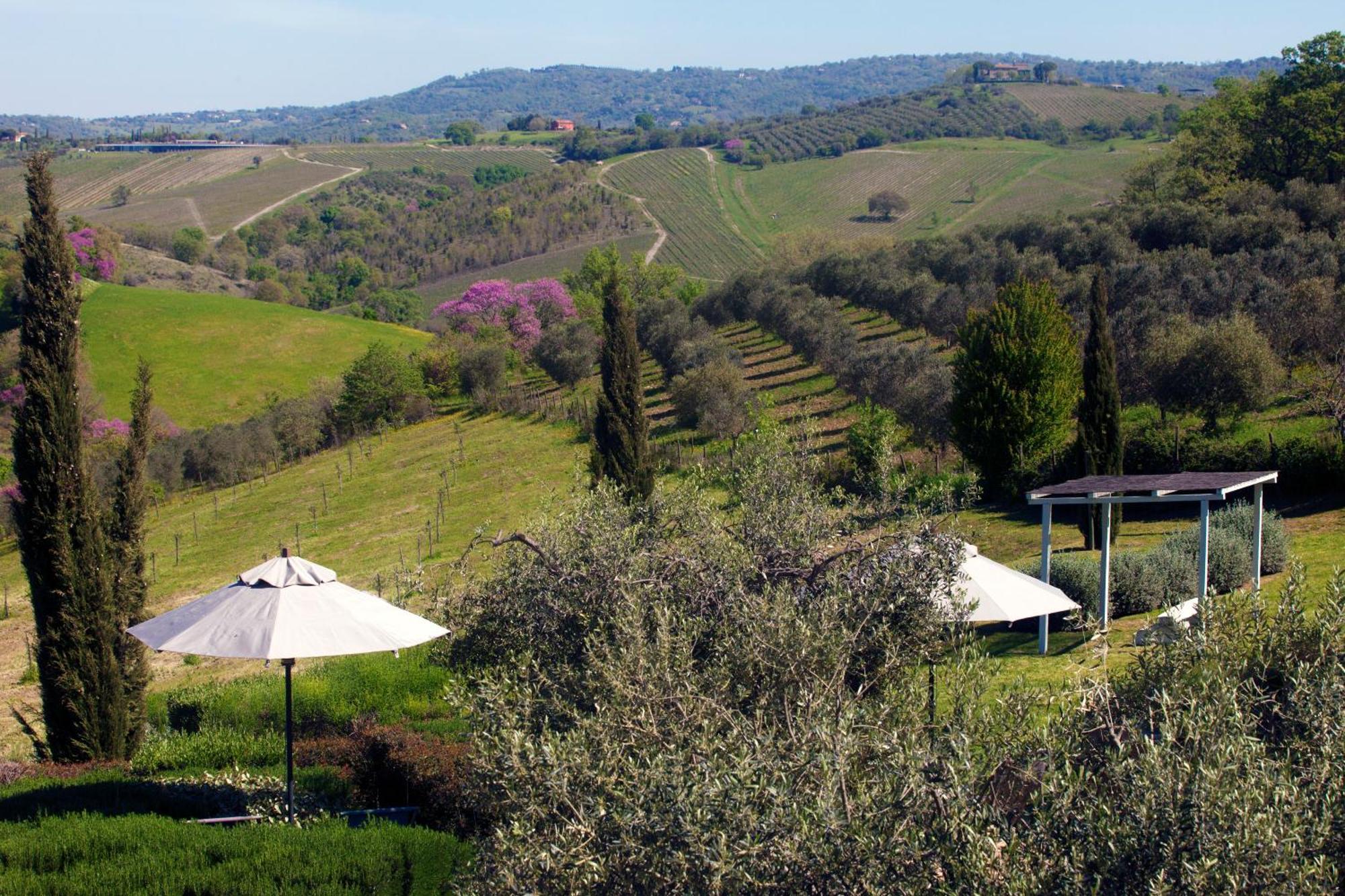 Casale Sterpeti Panzió Magliano in Toscana Kültér fotó