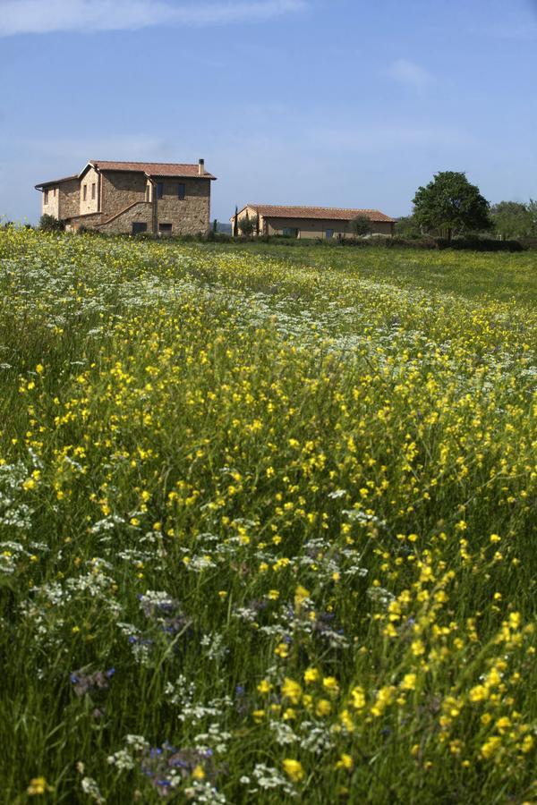 Casale Sterpeti Panzió Magliano in Toscana Kültér fotó