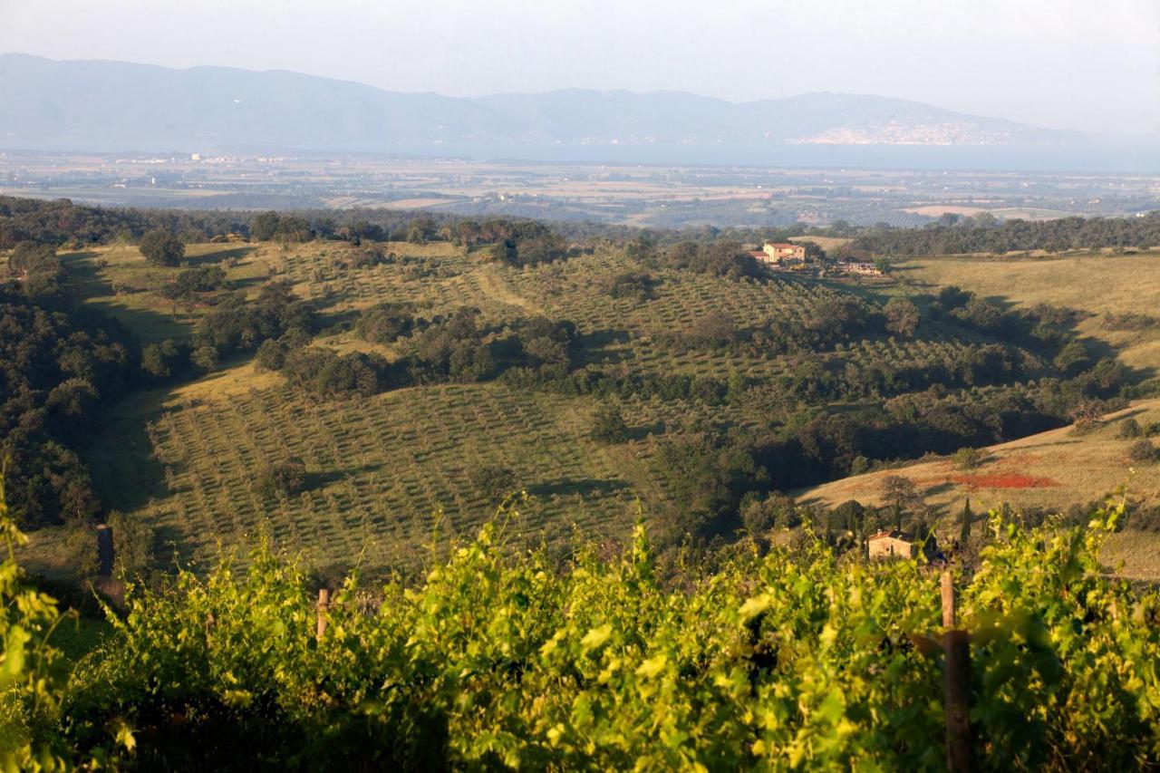 Casale Sterpeti Panzió Magliano in Toscana Kültér fotó
